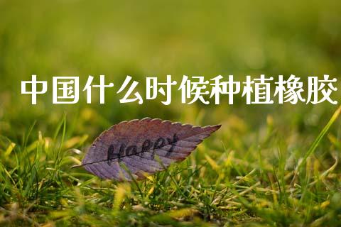 中国什么时候种植橡胶_https://wap.ycdhulan.com_投资基金_第1张