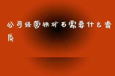 公司经营铁矿石需要什么资质_https://wap.ycdhulan.com_金融咨询_第1张