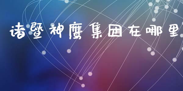 诸暨神鹰集团在哪里_https://wap.ycdhulan.com_财务投资_第1张