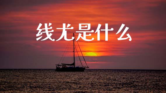 线尤是什么_https://wap.ycdhulan.com_国际财经_第1张