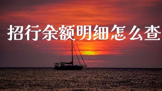 招行余额明细怎么查_https://wap.ycdhulan.com_货币市场_第1张