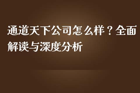 通道天下公司怎么样？全面解读与深度分析_https://wap.ycdhulan.com_货币市场_第1张