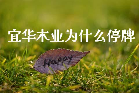 宜华木业为什么停牌_https://wap.ycdhulan.com_货币市场_第1张