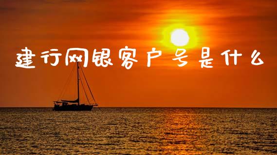 建行网银客户号是什么_https://wap.ycdhulan.com_货币市场_第1张
