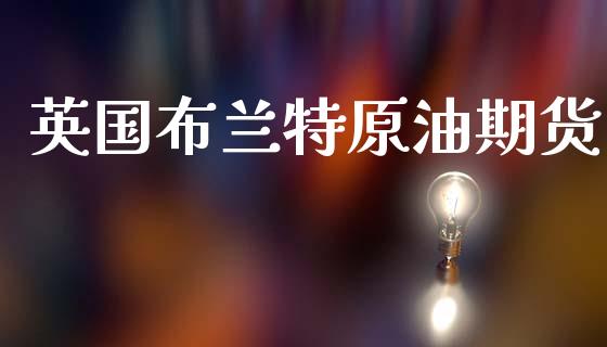 英国布兰特原油期货_https://wap.ycdhulan.com_财务投资_第1张