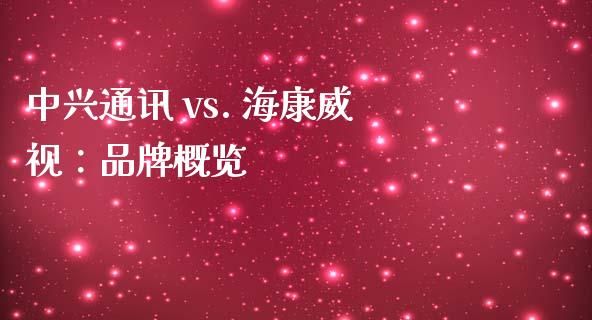 中兴通讯 vs. 海康威视：品牌概览_https://wap.ycdhulan.com_财务投资_第1张
