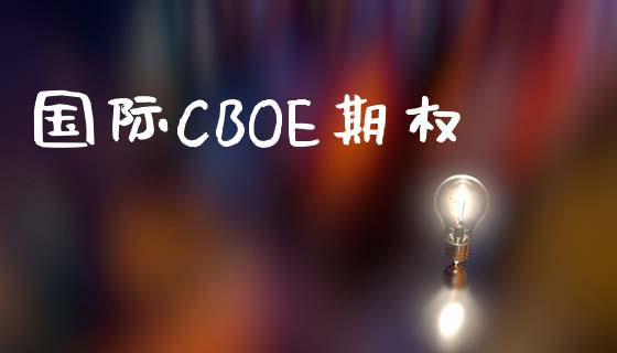 国际CBOE期权_https://wap.ycdhulan.com_投资基金_第1张