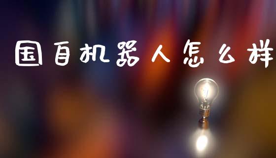 国自机器人怎么样_https://wap.ycdhulan.com_财经新闻_第1张