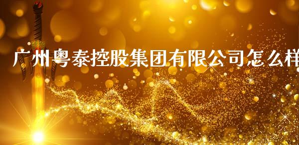 广州粤泰控股集团有限公司怎么样_https://wap.ycdhulan.com_货币市场_第1张