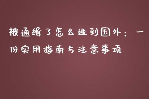 被通缉了怎么逃到国外：一份实用指南与注意事项_https://wap.ycdhulan.com_金融咨询_第1张