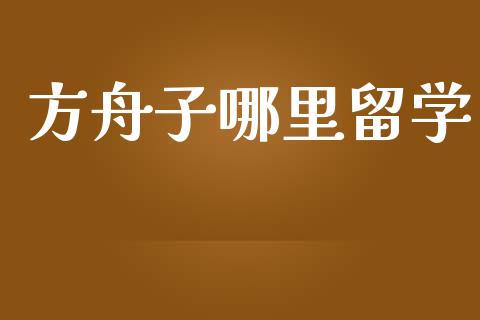 方舟子哪里留学_https://wap.ycdhulan.com_财经新闻_第1张