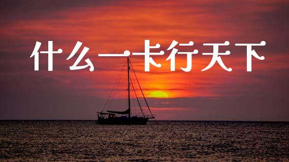 什么一卡行天下_https://wap.ycdhulan.com_金融咨询_第1张