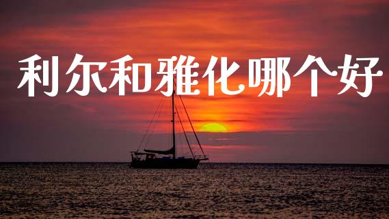 利尔和雅化哪个好_https://wap.ycdhulan.com_财经新闻_第1张