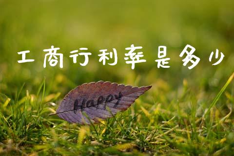 工商行利率是多少_https://wap.ycdhulan.com_财务投资_第1张