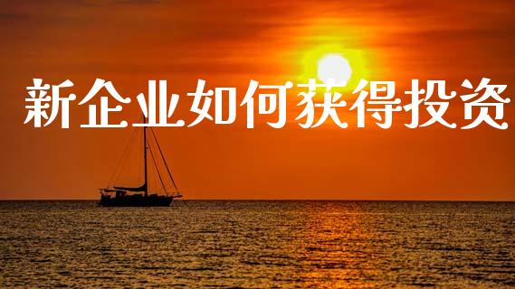 新企业如何获得投资_https://wap.ycdhulan.com_财经新闻_第1张
