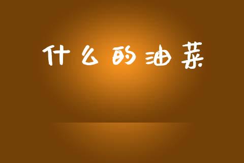 什么的油菜_https://wap.ycdhulan.com_国际财经_第1张