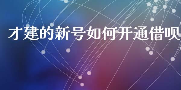 才建的新号如何开通借呗_https://wap.ycdhulan.com_金融咨询_第1张