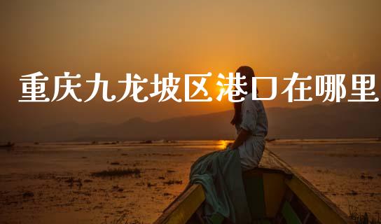 重庆九龙坡区港口在哪里_https://wap.ycdhulan.com_金融咨询_第1张