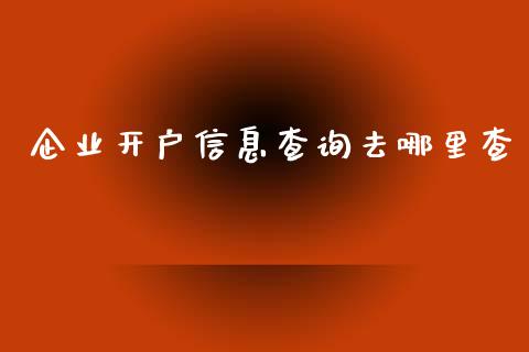 企业开户信息查询去哪里查_https://wap.ycdhulan.com_金融咨询_第1张