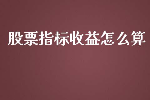股票指标收益怎么算_https://wap.ycdhulan.com_金融咨询_第1张