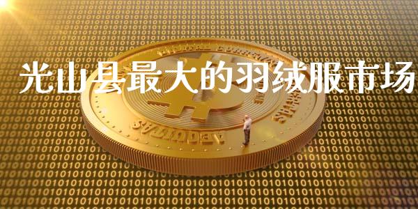 光山县最大的羽绒服市场_https://wap.ycdhulan.com_财务投资_第1张