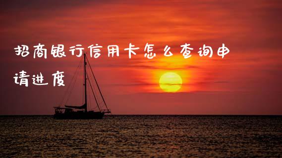 招商银行信用卡怎么查询申请进度_https://wap.ycdhulan.com_财经新闻_第1张