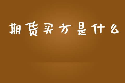 期货买方是什么_https://wap.ycdhulan.com_财务投资_第1张
