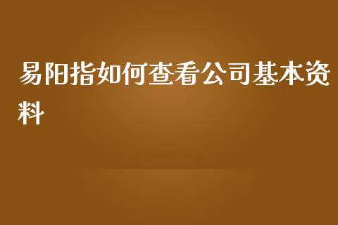 易阳指如何查看公司基本资料_https://wap.ycdhulan.com_金融咨询_第1张