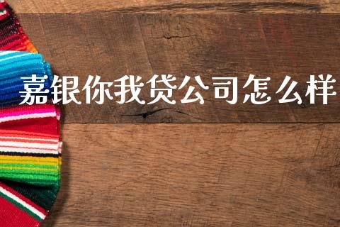 嘉银你我贷公司怎么样_https://wap.ycdhulan.com_财务投资_第1张