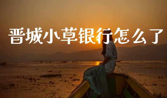 晋城小草银行怎么了_https://wap.ycdhulan.com_货币市场_第1张