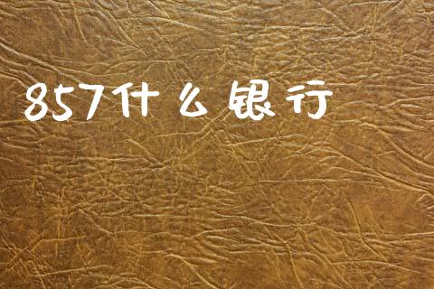 857什么银行_https://wap.ycdhulan.com_财经新闻_第1张