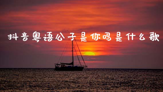 抖音粤语公子是你吗是什么歌_https://wap.ycdhulan.com_货币市场_第1张