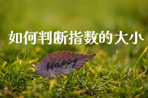 如何判断指数的大小_https://wap.ycdhulan.com_投资基金_第1张