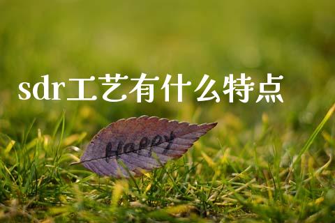 sdr工艺有什么特点_https://wap.ycdhulan.com_财经新闻_第1张