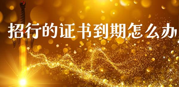 招行的证书到期怎么办_https://wap.ycdhulan.com_投资基金_第1张