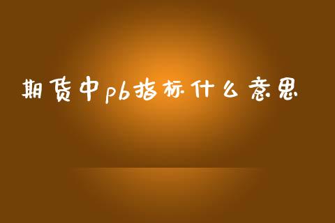 期货中pb指标什么意思_https://wap.ycdhulan.com_国际财经_第1张