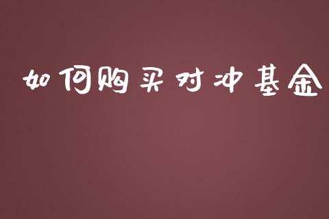 如何购买对冲基金_https://wap.ycdhulan.com_金融咨询_第1张