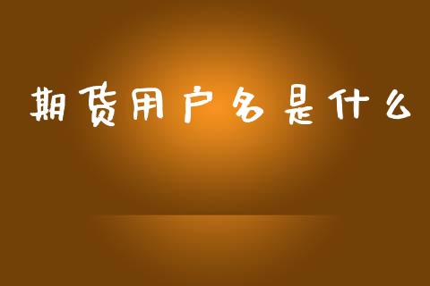 期货用户名是什么_https://wap.ycdhulan.com_财务投资_第1张