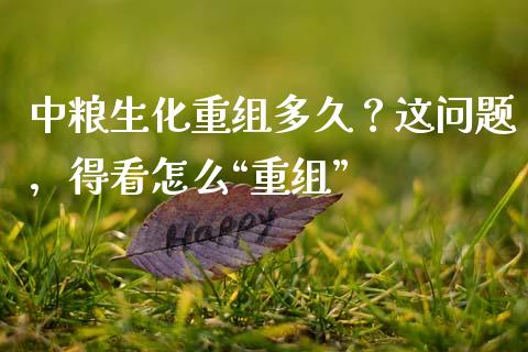 中粮生化重组多久？这问题，得看怎么“重组”_https://wap.ycdhulan.com_国际财经_第1张