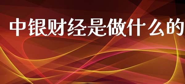 中银财经是做什么的_https://wap.ycdhulan.com_国际财经_第1张