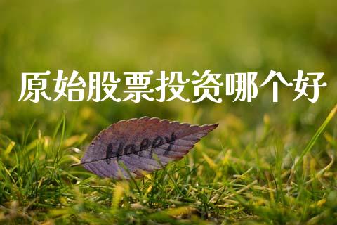 原始股票投资哪个好_https://wap.ycdhulan.com_投资基金_第1张