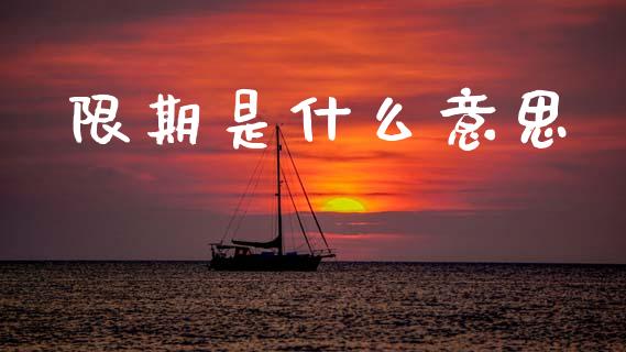 限期是什么意思_https://wap.ycdhulan.com_金融咨询_第1张