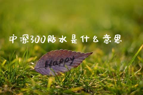 沪深300贴水是什么意思_https://wap.ycdhulan.com_金融咨询_第1张