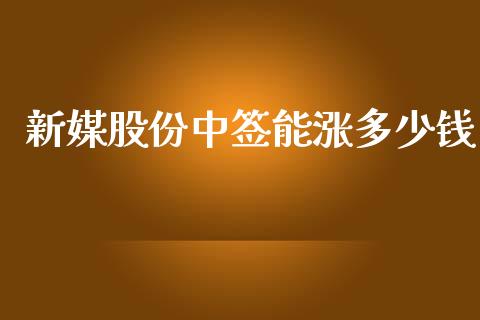 新媒股份中签能涨多少钱_https://wap.ycdhulan.com_投资基金_第1张