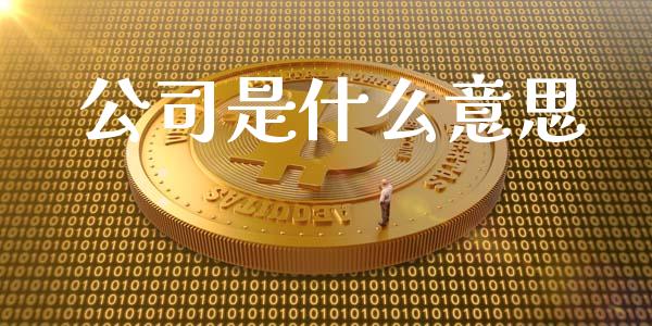 公司是什么意思_https://wap.ycdhulan.com_国际财经_第1张