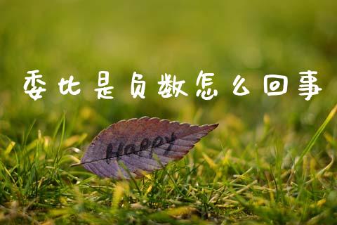委比是负数怎么回事_https://wap.ycdhulan.com_货币市场_第1张