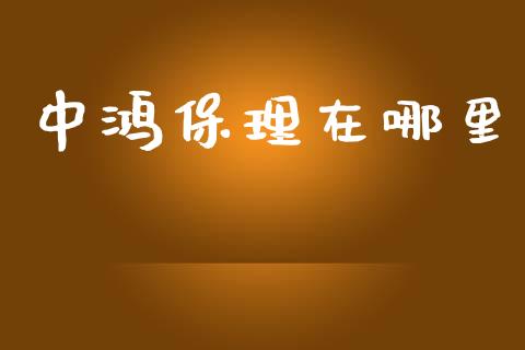 中鸿保理在哪里_https://wap.ycdhulan.com_财经新闻_第1张