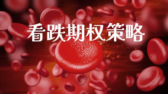 看跌期权策略_https://wap.ycdhulan.com_财务投资_第1张