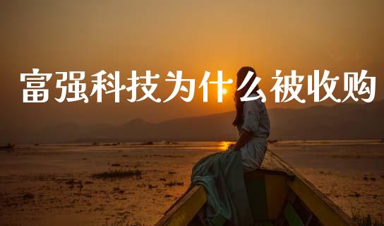 富强科技为什么被收购_https://wap.ycdhulan.com_国际财经_第1张