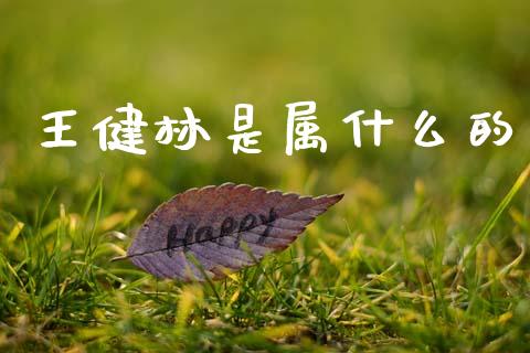 王健林是属什么的_https://wap.ycdhulan.com_财务投资_第1张
